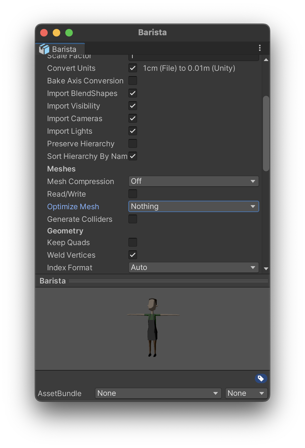 Screenshot of the Optimize Mesh option for the imported model